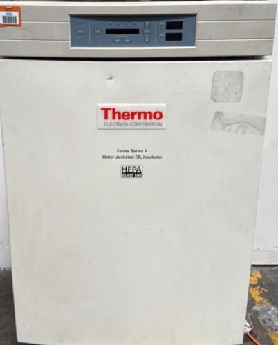 Thermo Forma Series II 3110 CO₂ Incubator