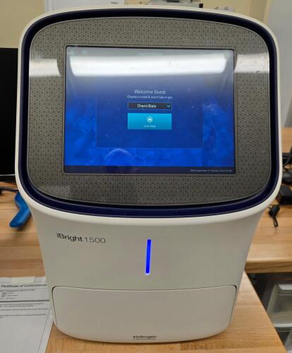 Invitrogen iBright 1500 Imaging System