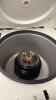 Thermo Fisher Sorvall ST 8R Refrigerated Benchtop Centrifuge, Max 15,200 RPM, 2022 - 2