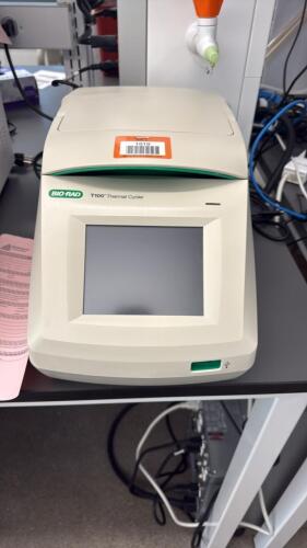 Bio-Rad T100 Thermal Cycler