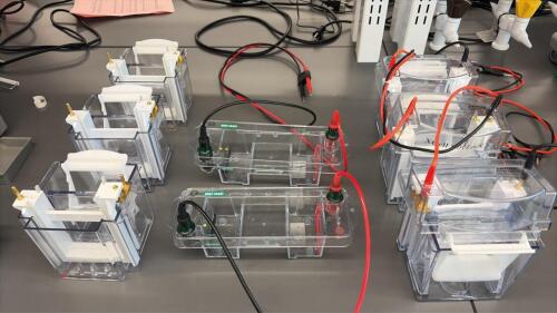 Lot of Assorted Novex XCell SureLock & Bio-Rad Mini-Sub GT Gel Electrophoresis Cells