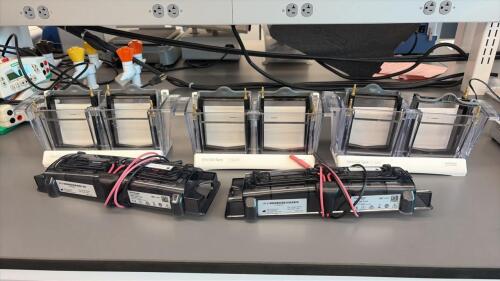 Lot of Assorted Invitrogen Mini Gel Tanks