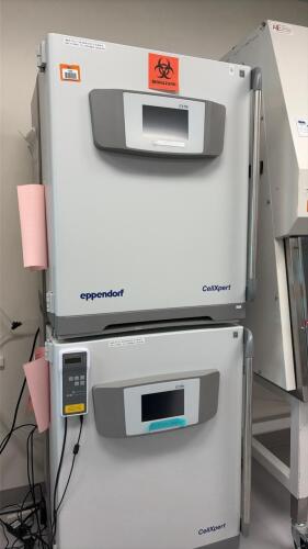 Dual stacked Eppendorf CellXpert C170i CO₂ Incubator