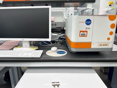 ProteinSimple Jess Automated Western Blot Analyzer, Chemiluminescence & Fluorescence Detection