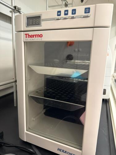 Thermo Scientific Heratherm IMC 18 Benchtop Incubator